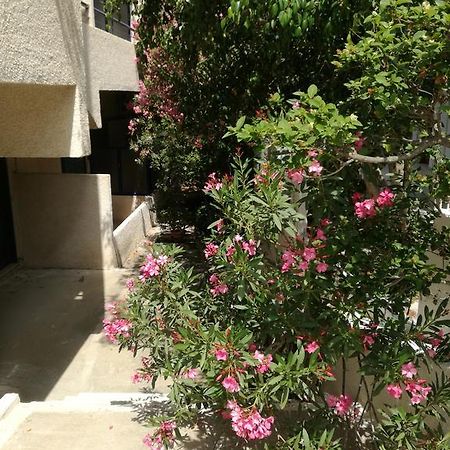 Pericles Studios Agia Marina  Exterior photo