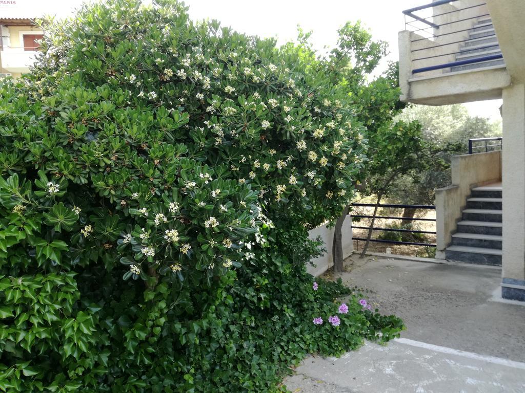 Pericles Studios Agia Marina  Exterior photo