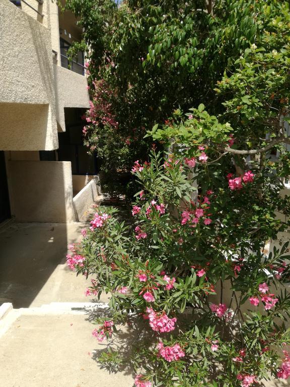 Pericles Studios Agia Marina  Exterior photo